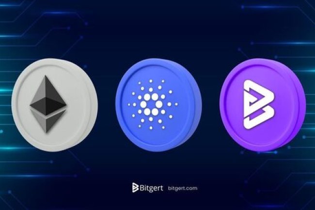 Bitgert, Ethereum, and Cardano: Market Comparison Highlights Growing Momentum for New Blockchain Players
