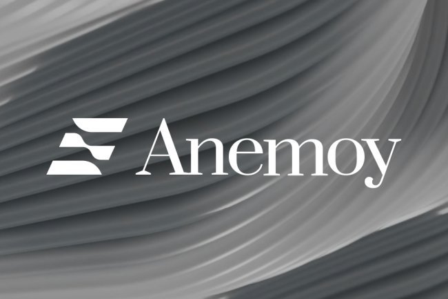 Anemoy Teams Up with Chronicle to Enhance On-Chain Treasury Fund with Real-Time Data