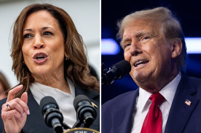 Kamala Harris Leads Donald Trump in Six Key Swing States According to New Poll
