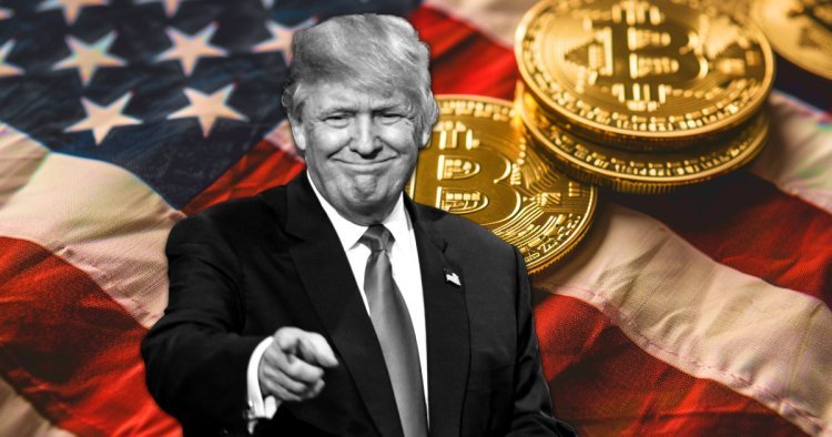 Survey Reveals Crypto Owners Favor Trump, Non-Crypto Owners Lean Towards Harris