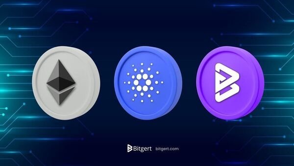  Bitgert, Ethereum, and Cardano: Market Comparison Highlights Growing Momentum for New Blockchain Players