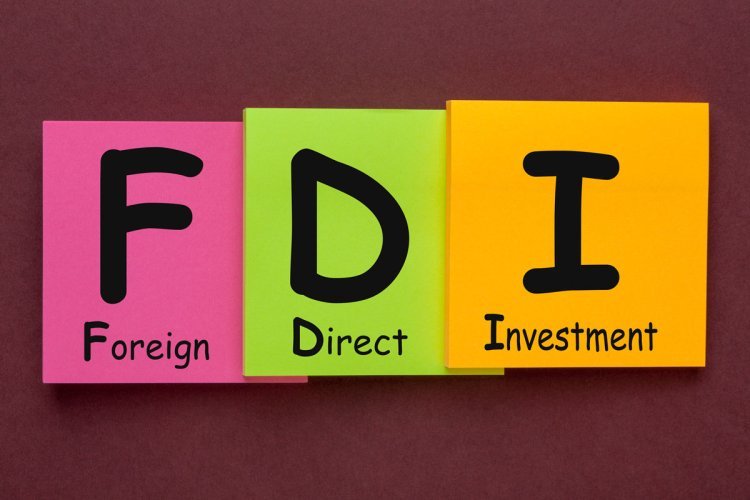 India Aims for $100 Billion FDI Inflows in Coming Years as Investment Climate Improves