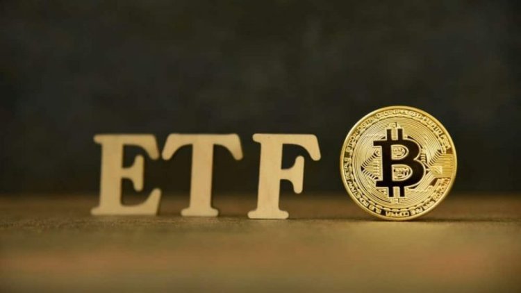 US Spot Bitcoin ETFs Experience Continued Inflows Led by BlackRock's IBIT