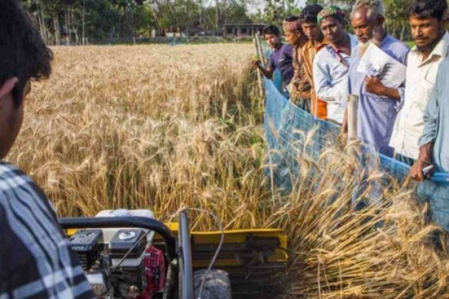 FM Urges Northeast RRBs to Enhance Ground-Level Agricultural Credit Disbursement