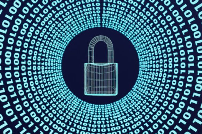 Near Protocol Resolves Critical Vulnerability That Could Have Crashed Entire Network