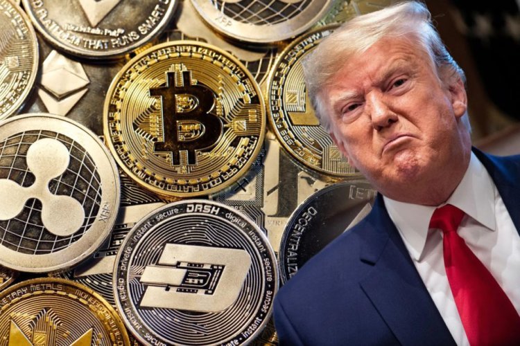 Bitwise's Matt Hougan Predicts Altcoin Rally If Trump Wins Election