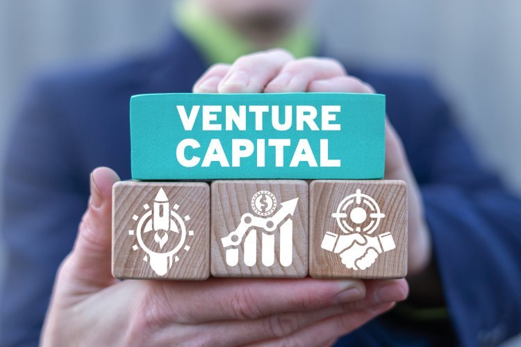  Caution in Venture Capital Funding for AI Startups as Investors Demand Clear Value and Returns